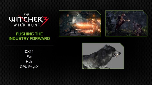 The Witcher 3: Wild Hunt - B The Witcher 3: Wild Hunt появятся новые графические эффекты и технологии от Nvidia